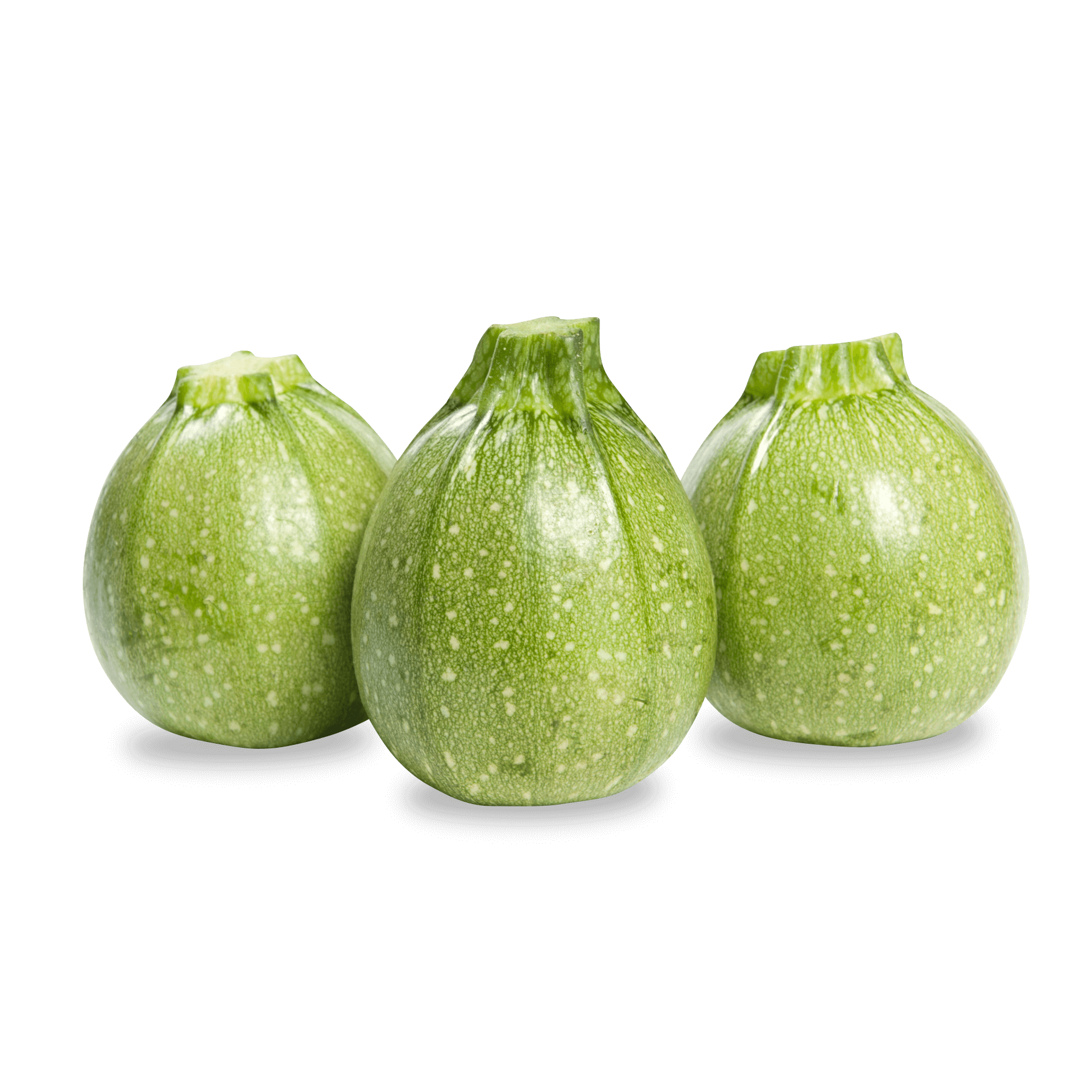 Zucchini 'rund'
