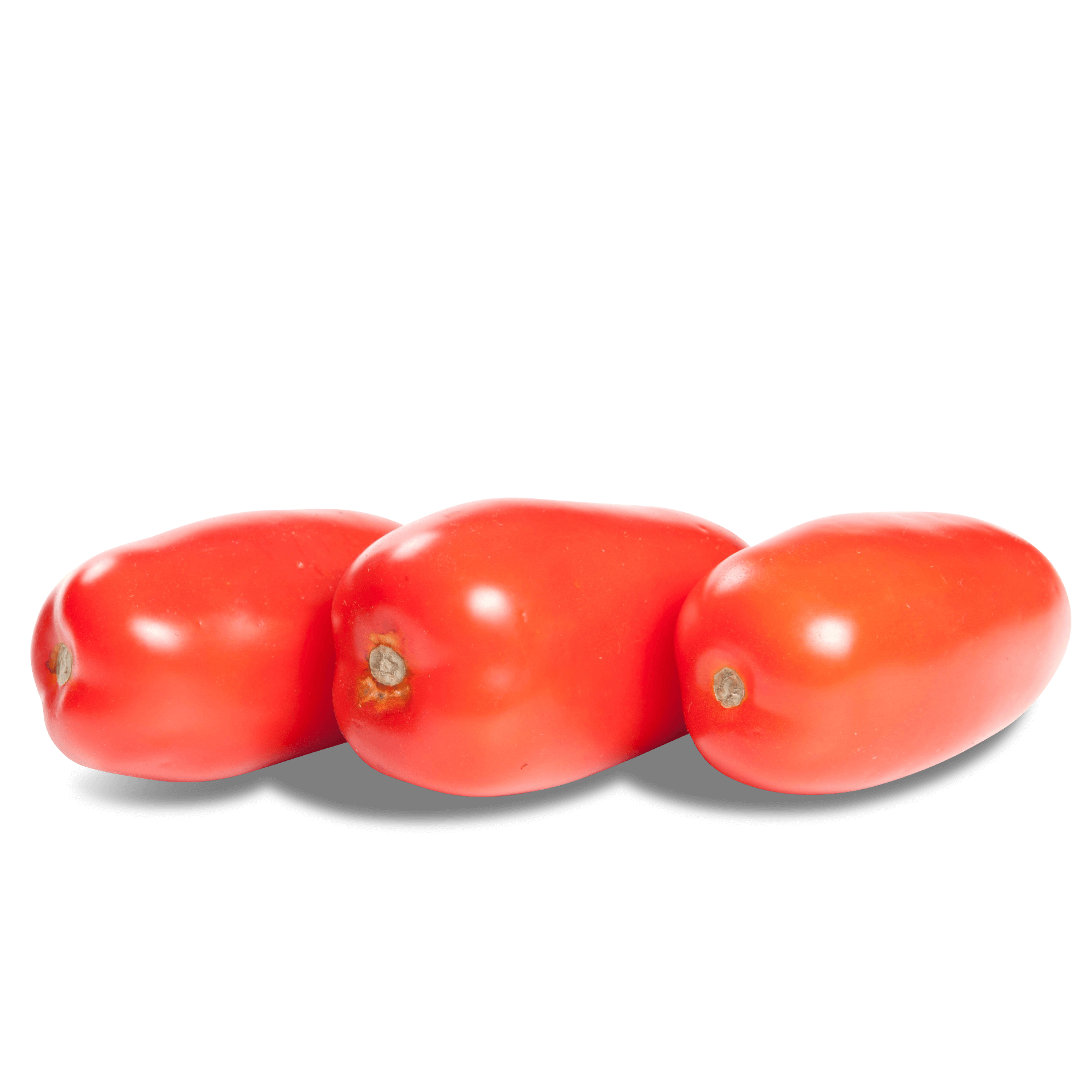 Tomaten 'San Marzano'