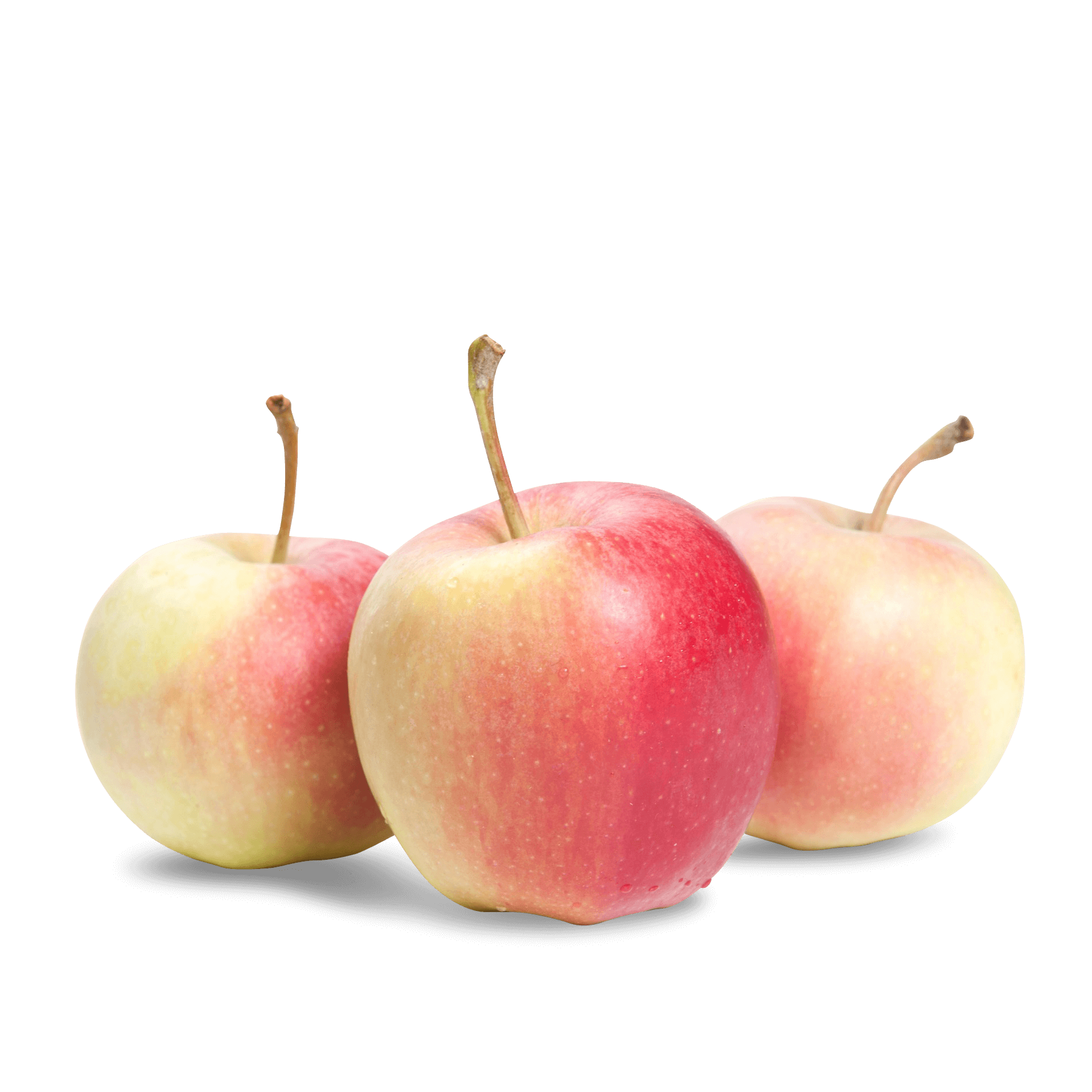 Apfel 'De Lüdden aus dem Alten Land'