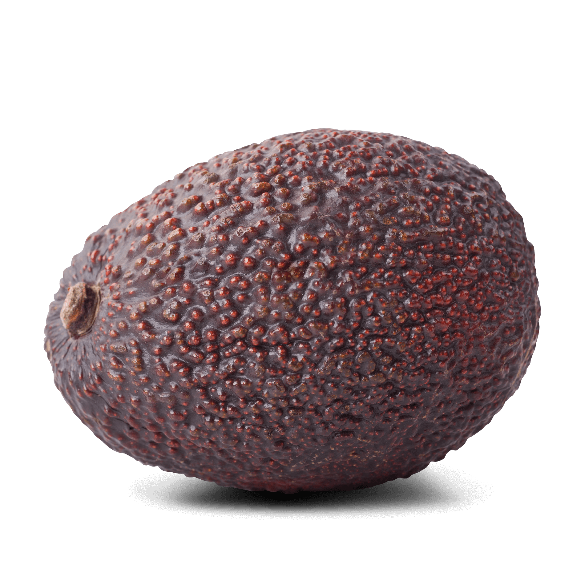 Bio Avocado