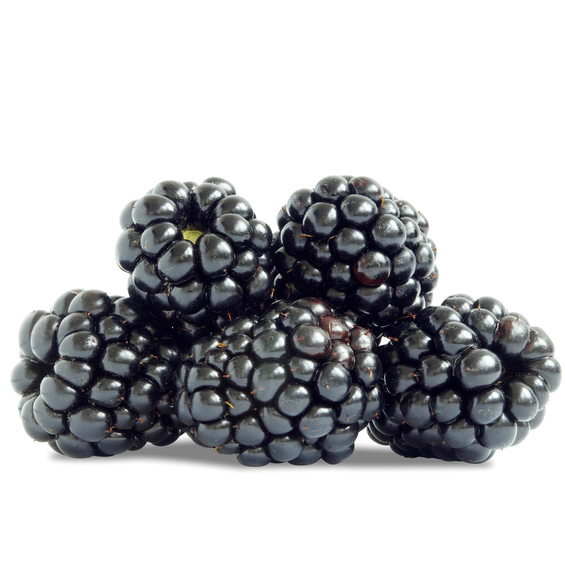 Brombeeren 125g