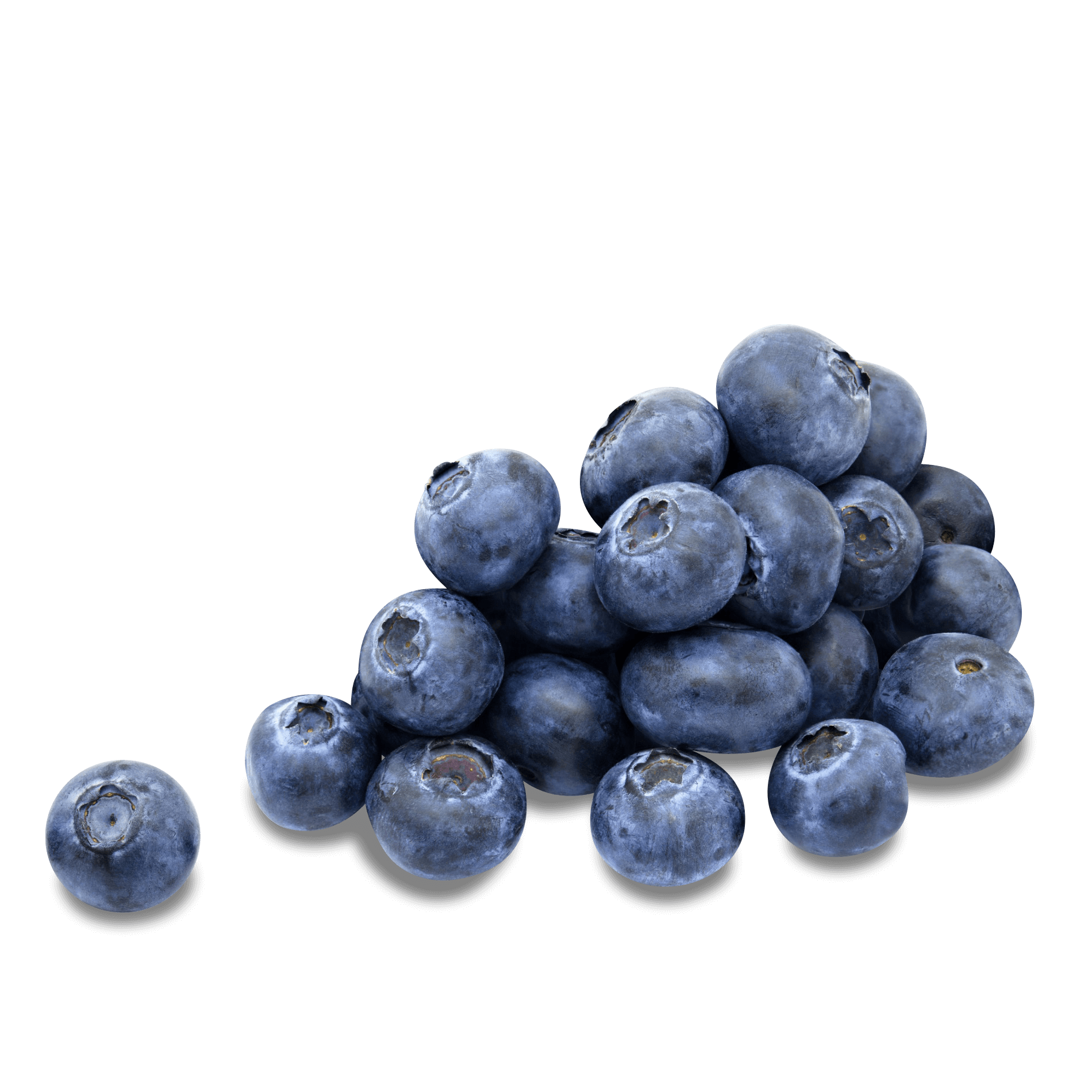 Blaubeeren