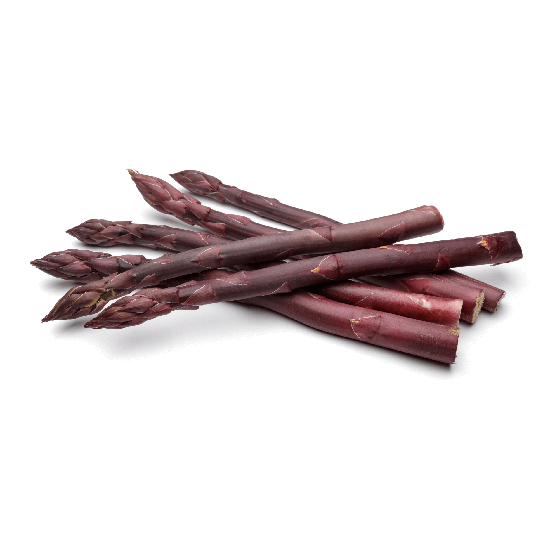 Deutscher Spargel 'Purpur'