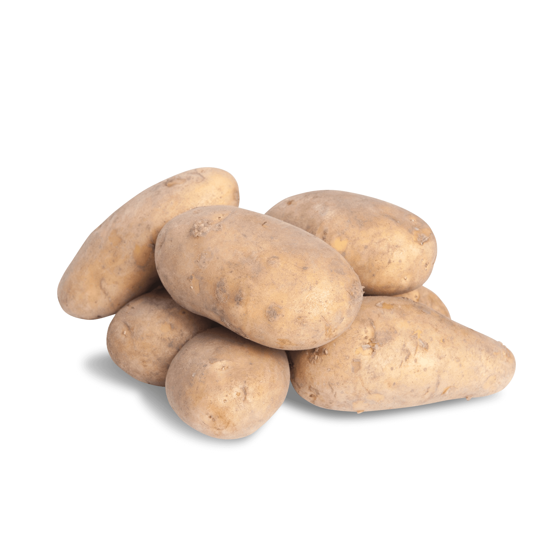 Kartoffel 'Annabelle' (festkochend)