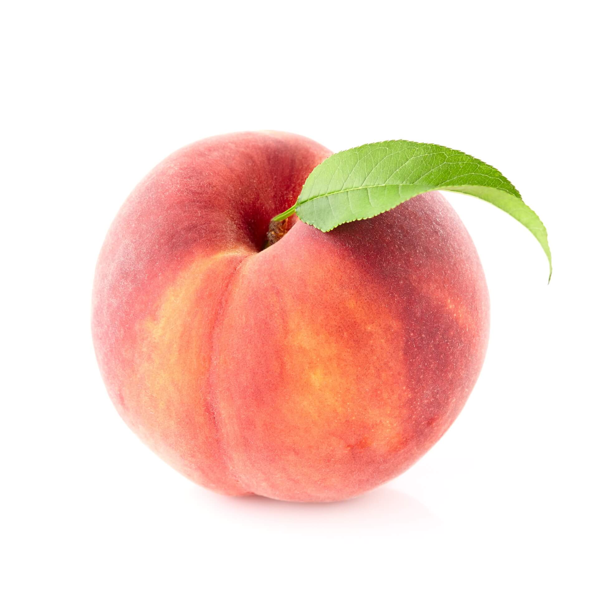 Pfirsich Premium 'weiß'