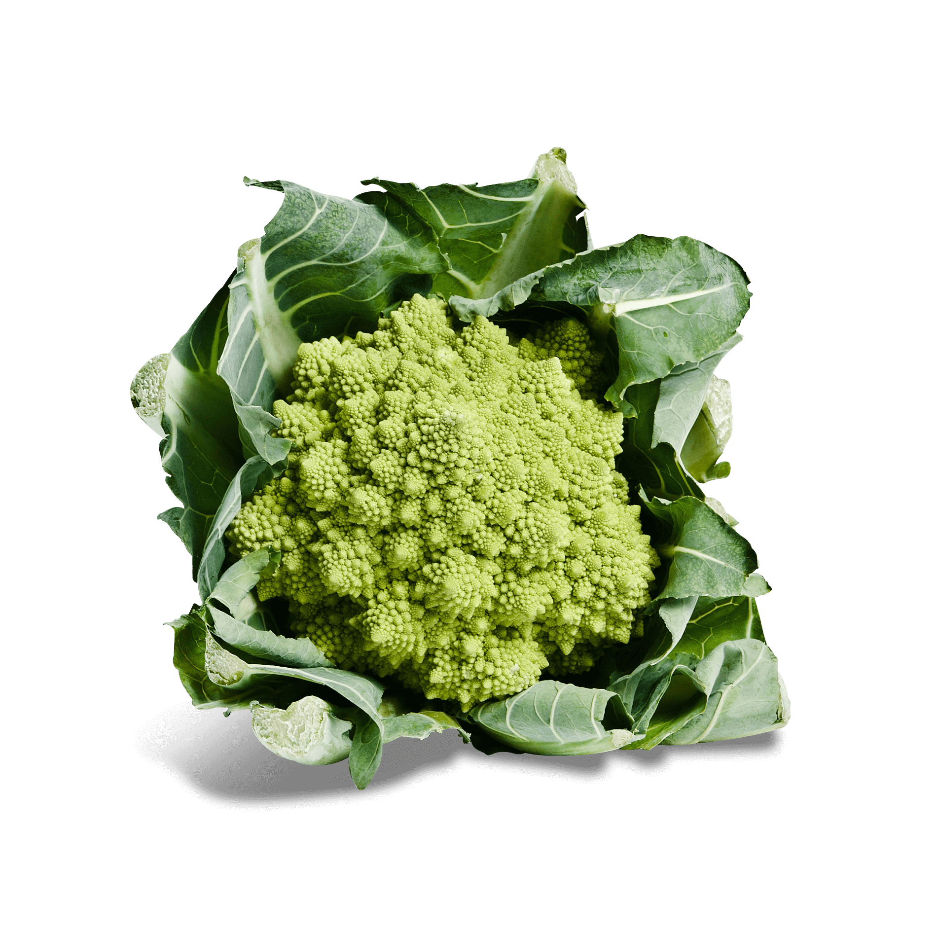 Romanesco