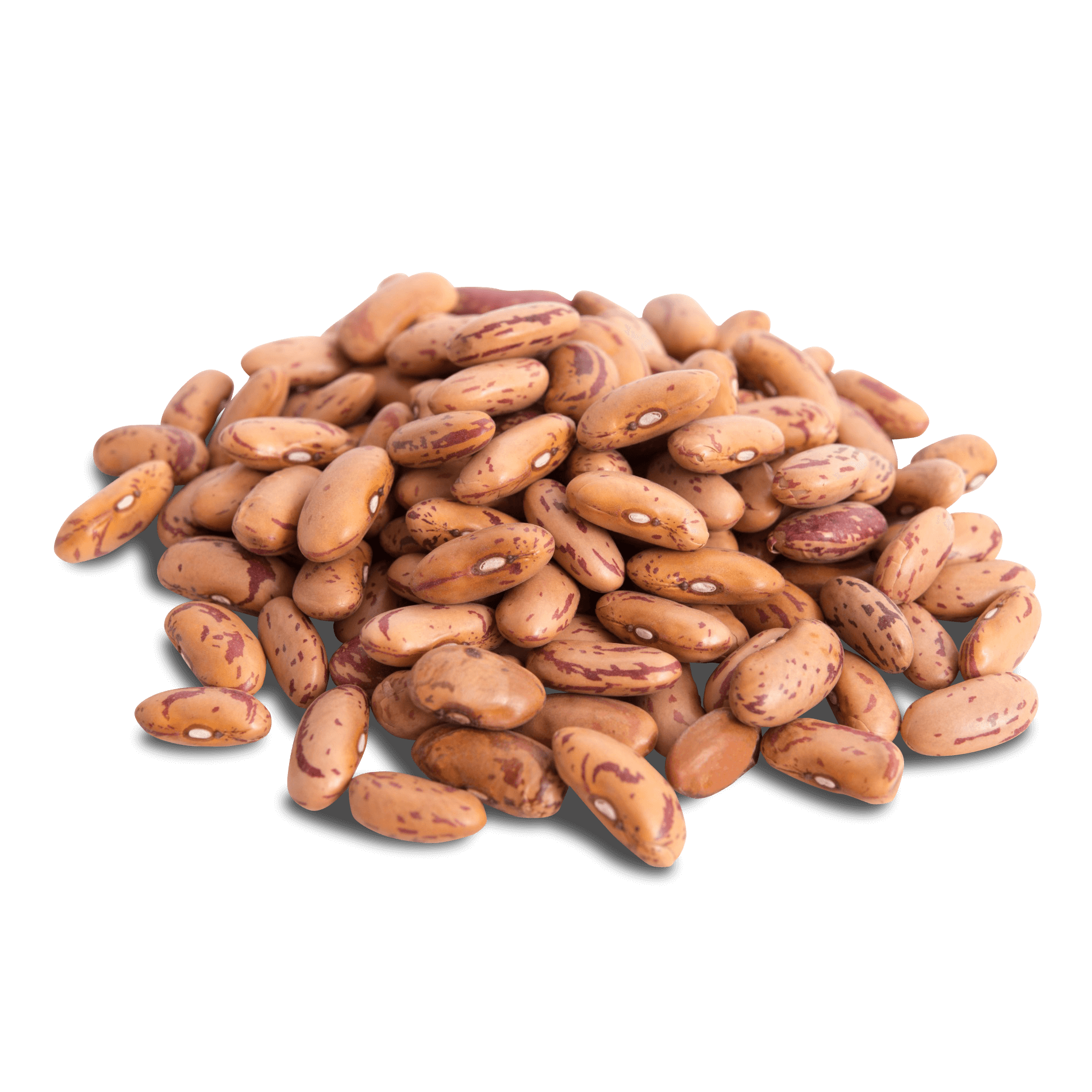 Wachtelbohnen 'getrocknet'