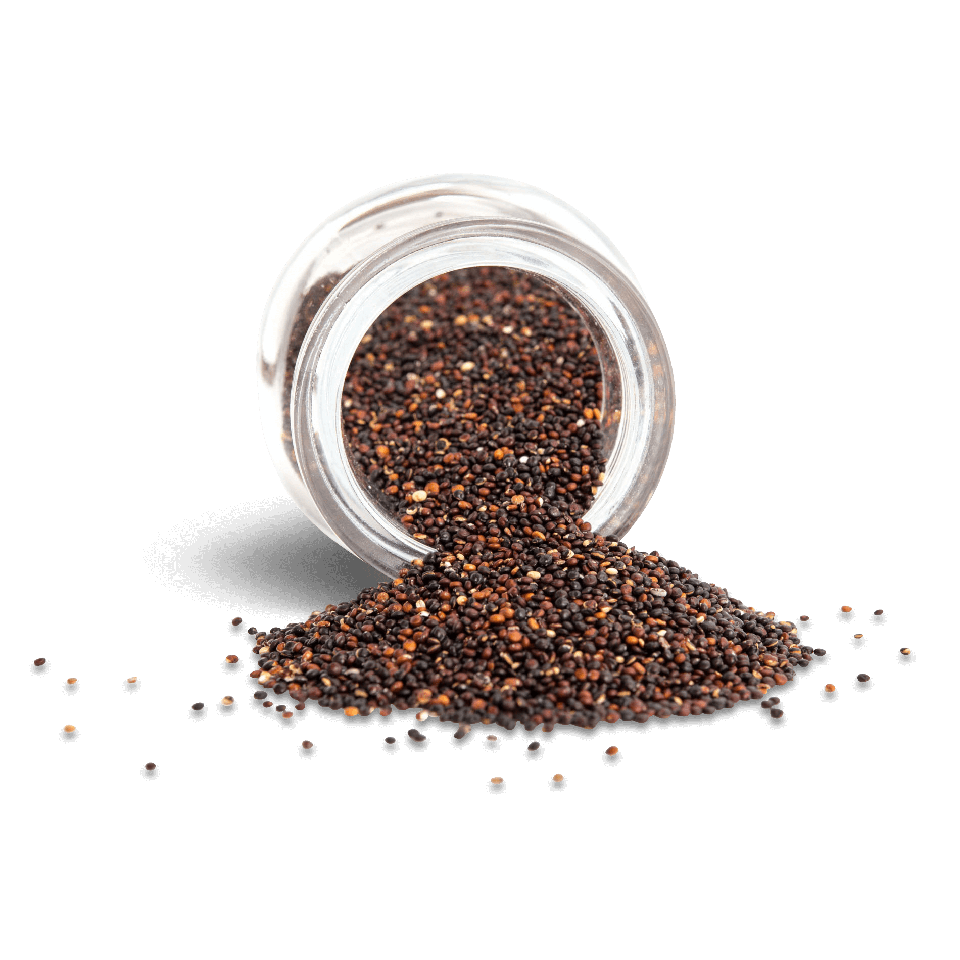 Bio Quinoa schwarz