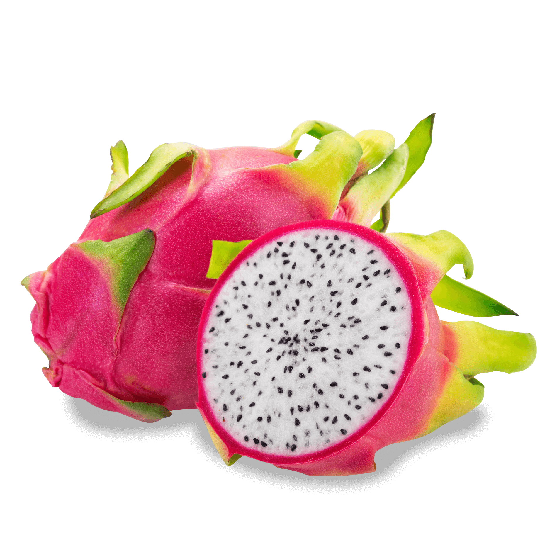 Pitahaya 'rot-weiß'
