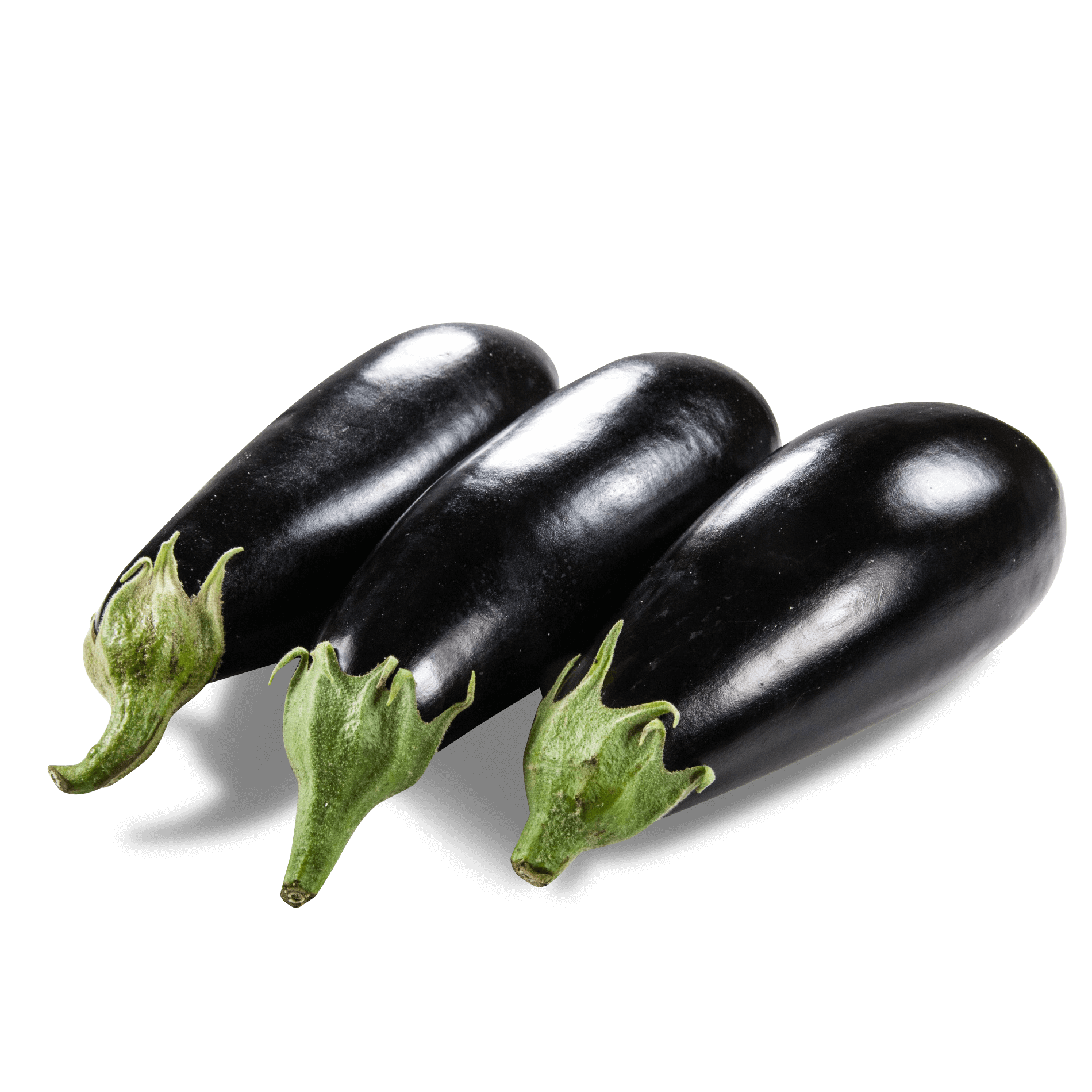 Aubergine